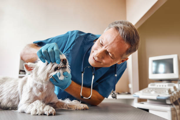 Best Emergency Dental Surgery in Springville, AL